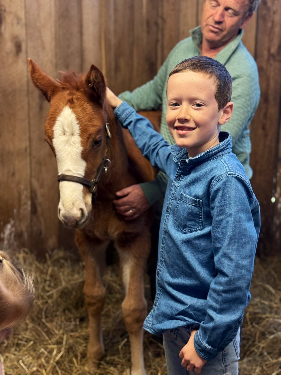 Tom Ryan tweet media