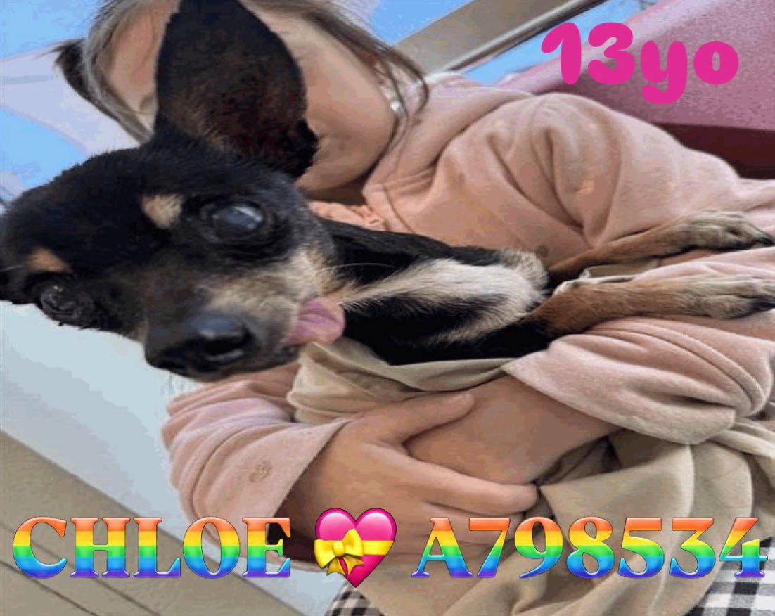 Aurora ⸆⸉ misses Liam ❯❯❯❯ tweet media