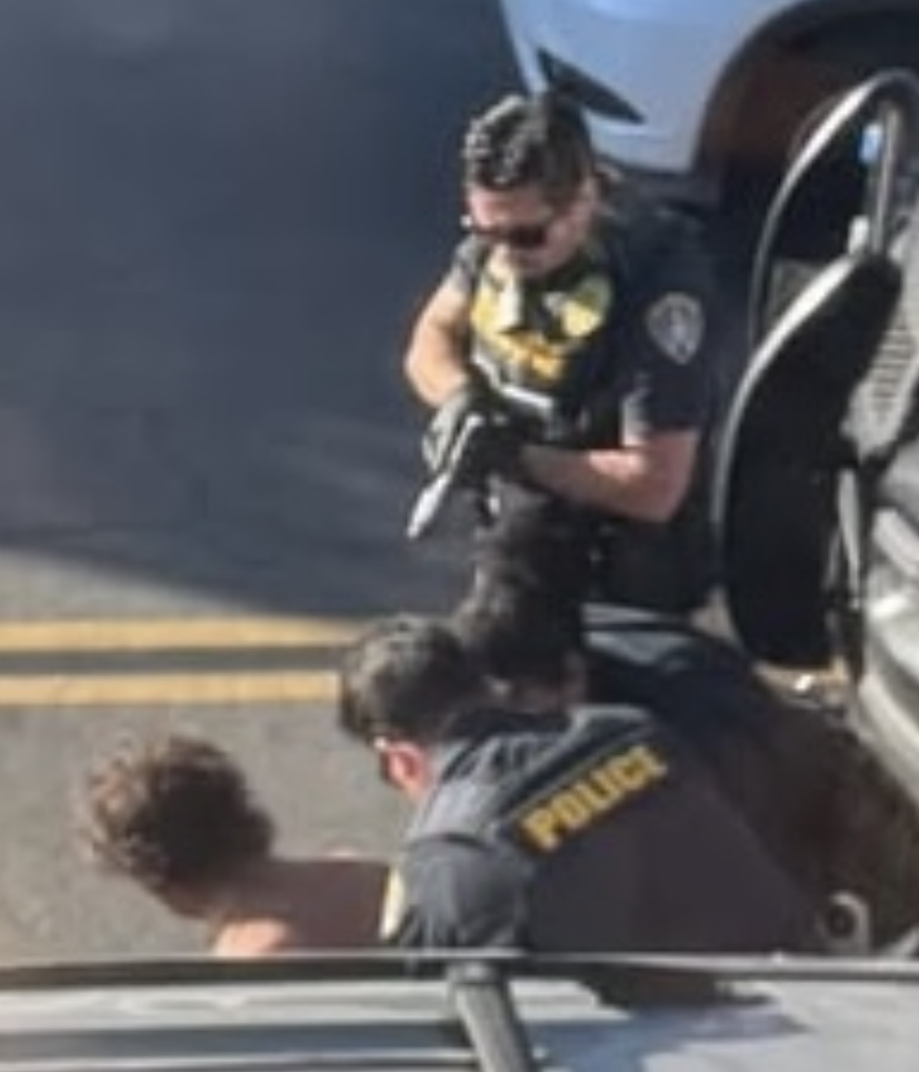 Carolyn Grace⭐️⭐️⭐️⭐️⭐️ tweet media