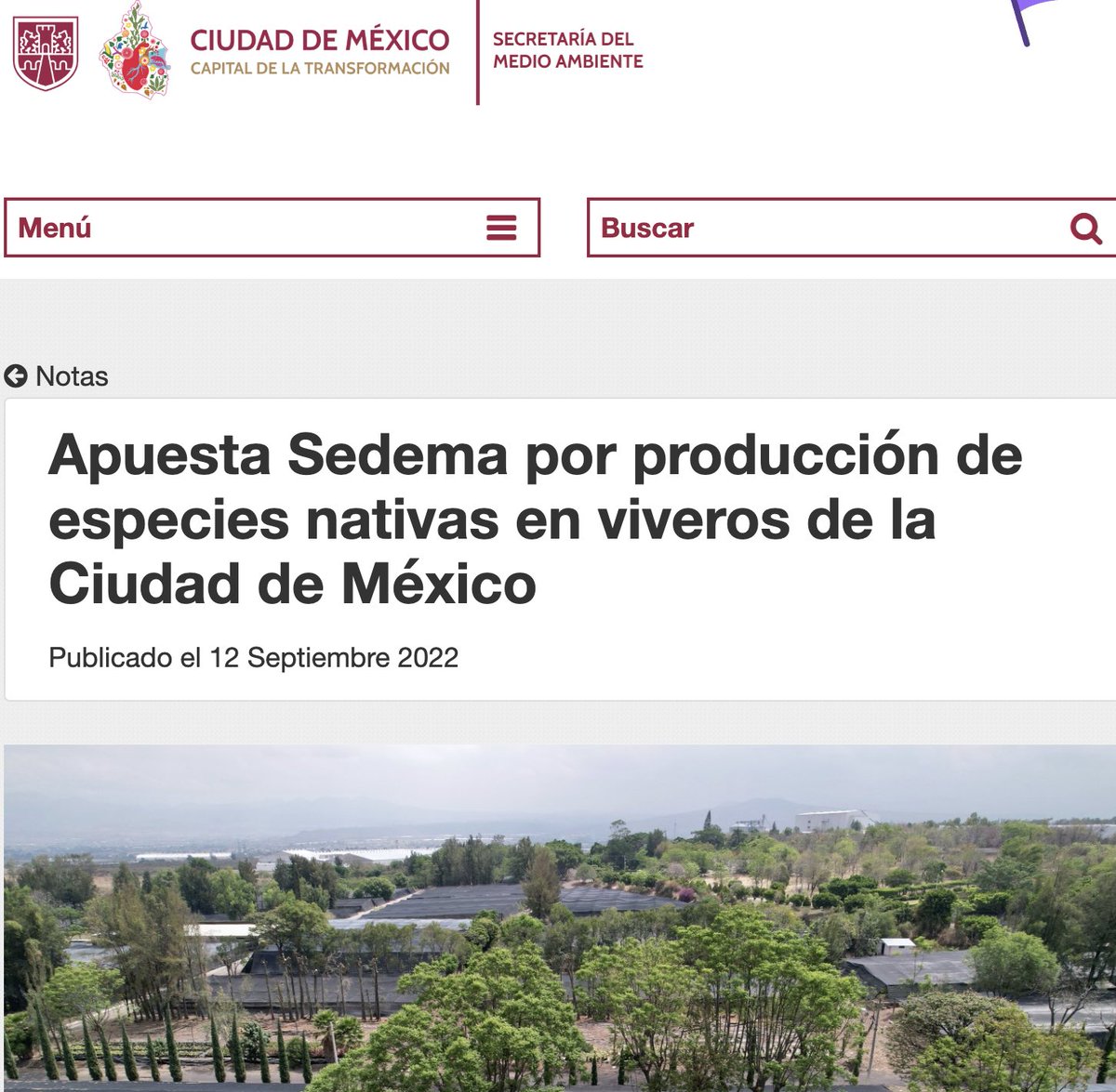 SoyDeLeon_Mx's tweet photo. Además para tu información, en Ciudad de México le están apostando a la producción de árboles #nativos 

pero ¡no nos vayamos tan lejos!, en TU ciudad están reforestando con árboles nativos. 🤦🏻 🤣 

¿Qué raro verdad? Quién sabe por qué están apostándole a lo nativo. 🤔 

🙄 https://t.co/lkaSv2oT1B