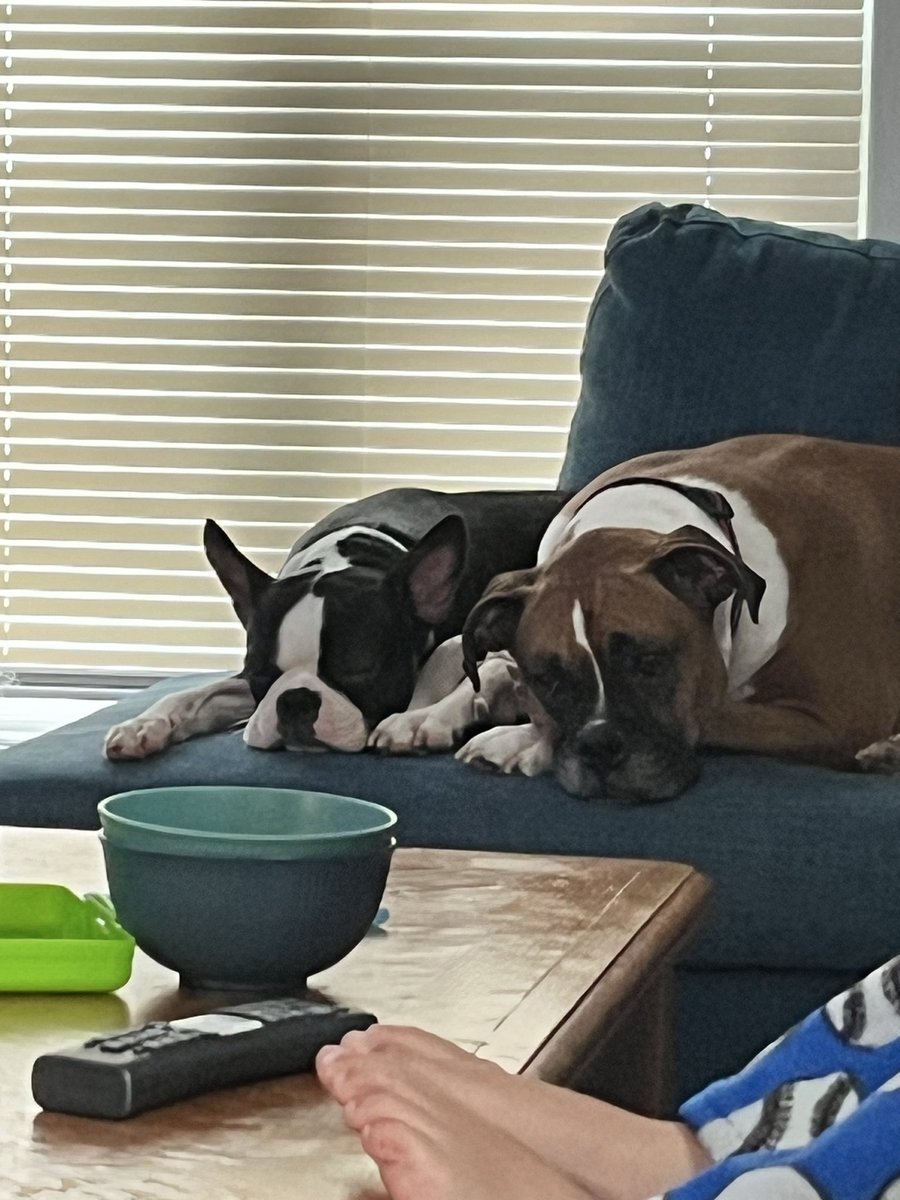 Pedro A. Esteves tweet media