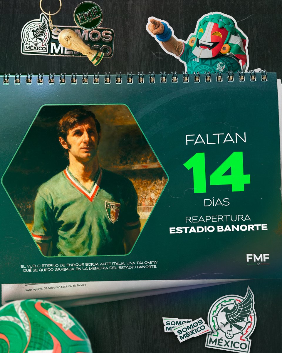 Federación Mexicana de Futbol tweet media