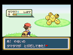 Mike ✨ tweet media