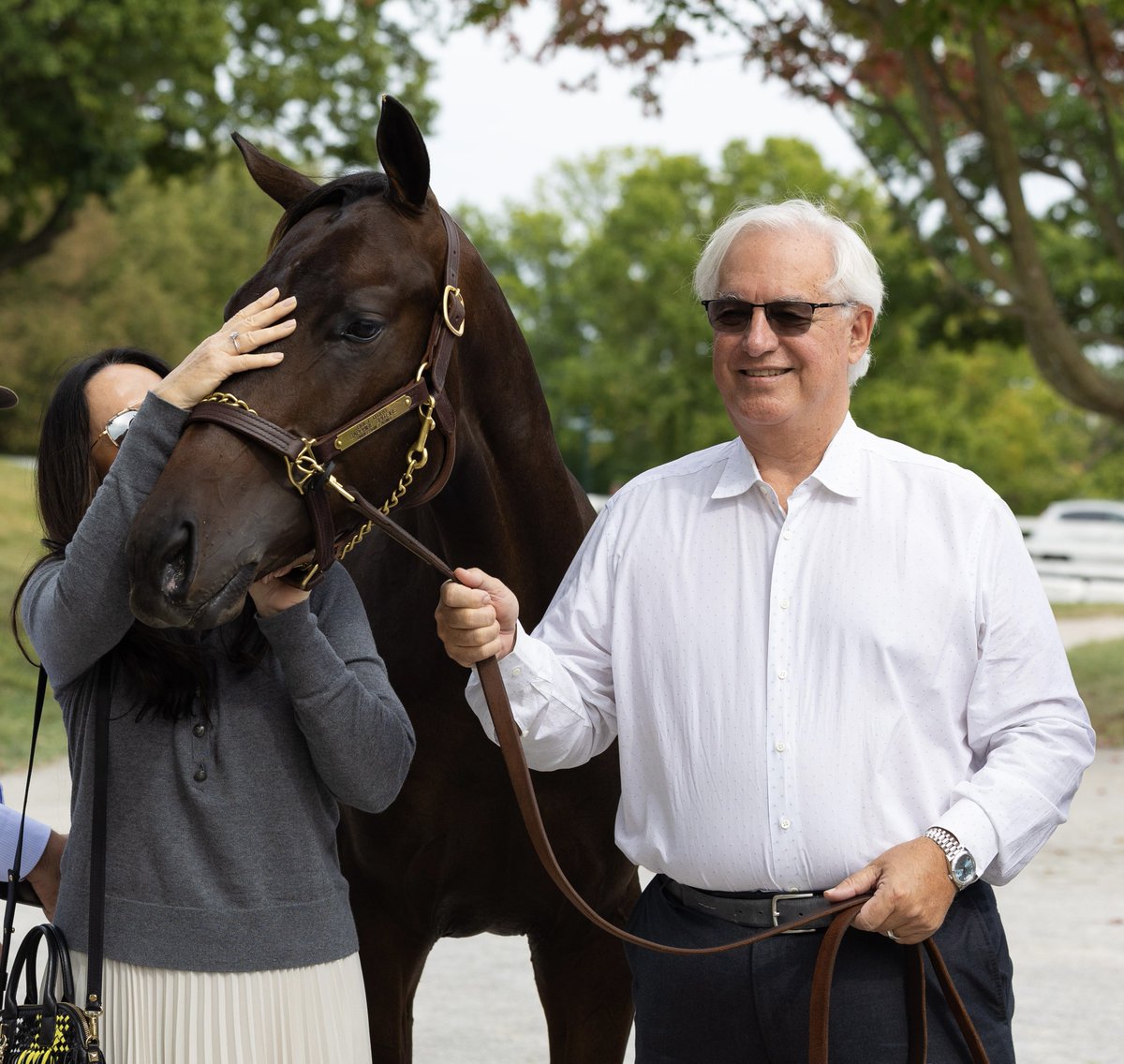 Pin Oak Stud tweet media