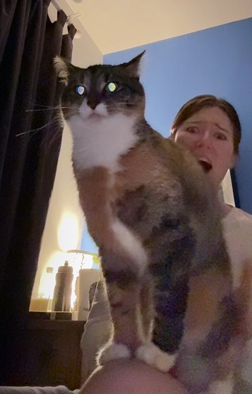 Wraith🐰 ༉‧₊˚.☆彡 tweet media