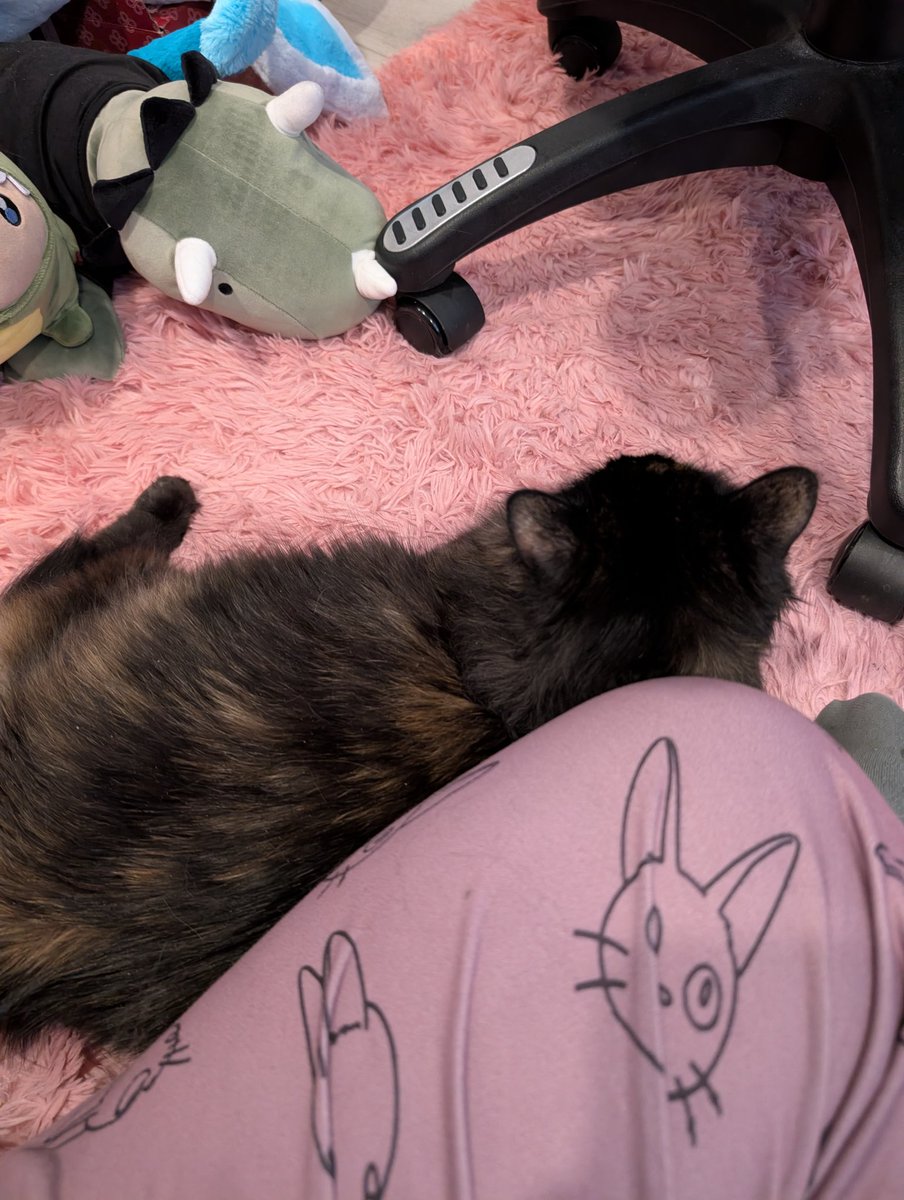 Onirin (Dino Vtuber)🦖🍓 tweet media