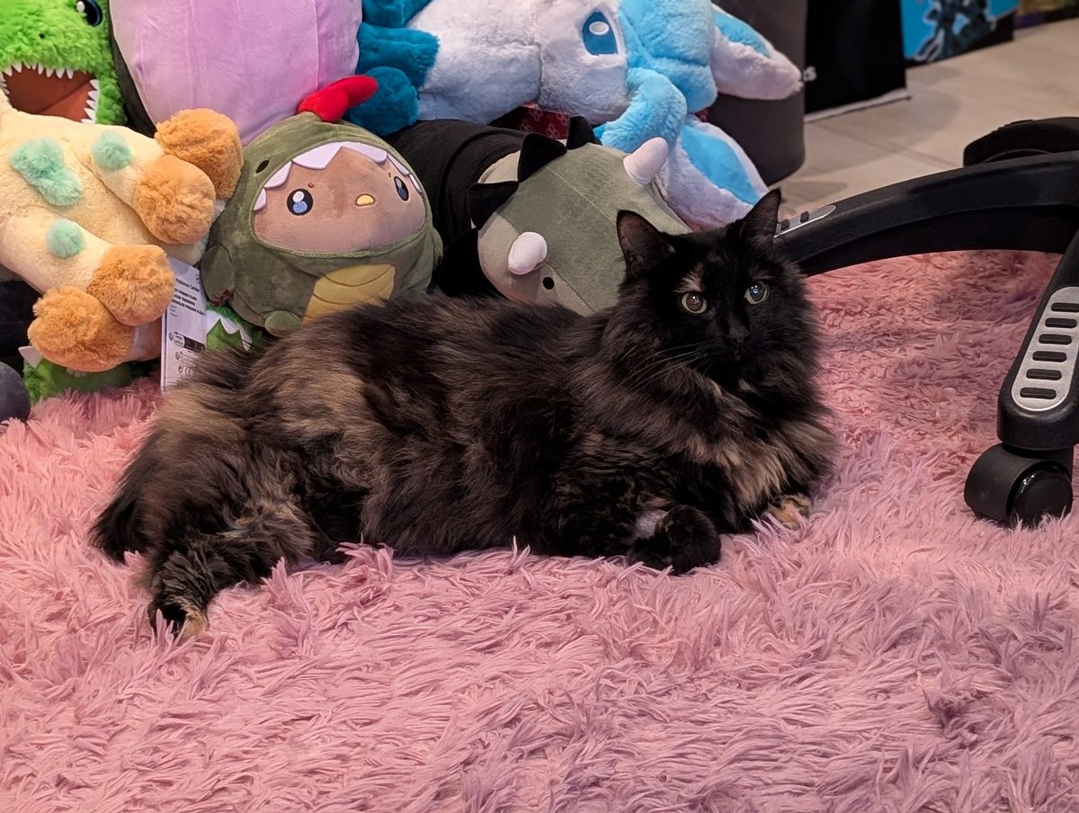 Onirin (Dino Vtuber)🦖🍓 tweet media