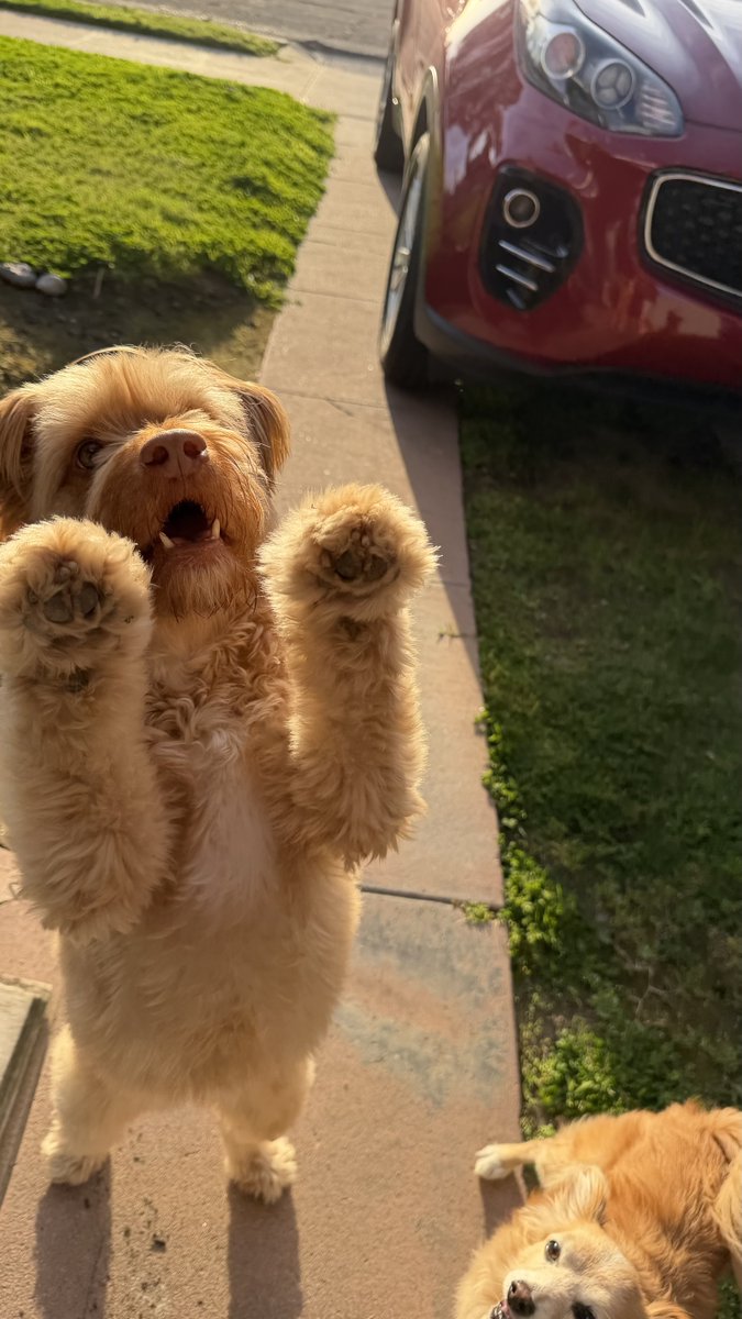 JLorenzo Santos tweet media