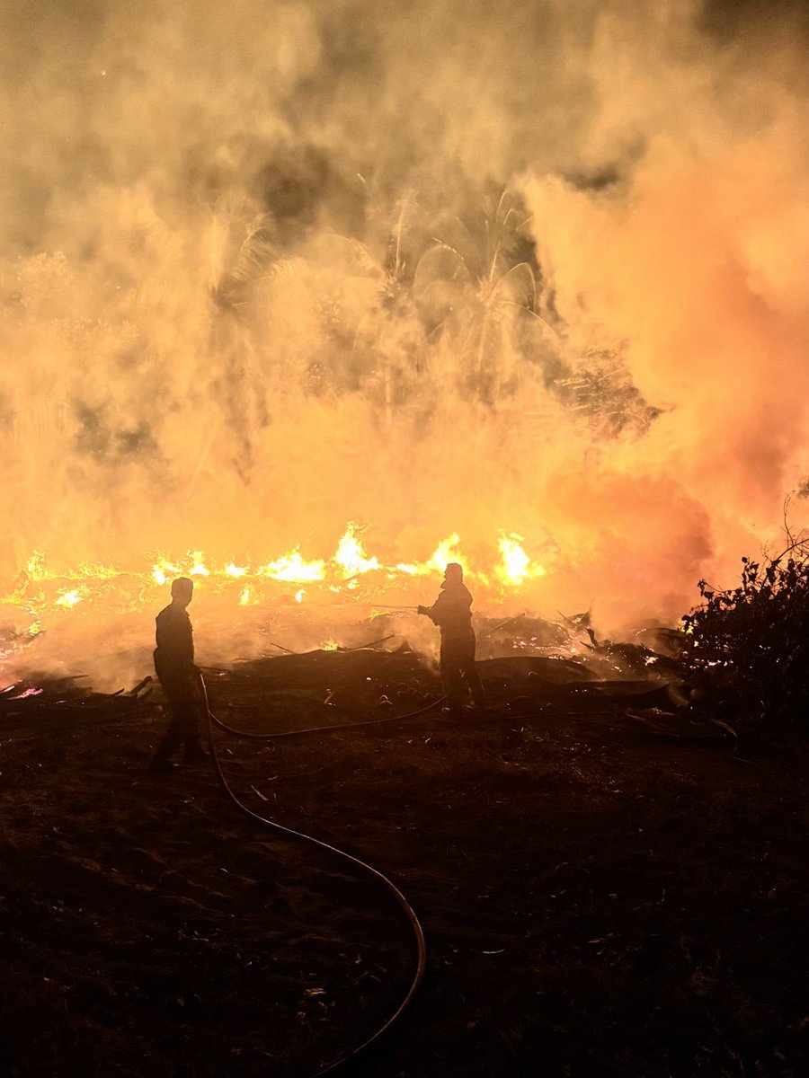 Maldives National Defence Force tweet media