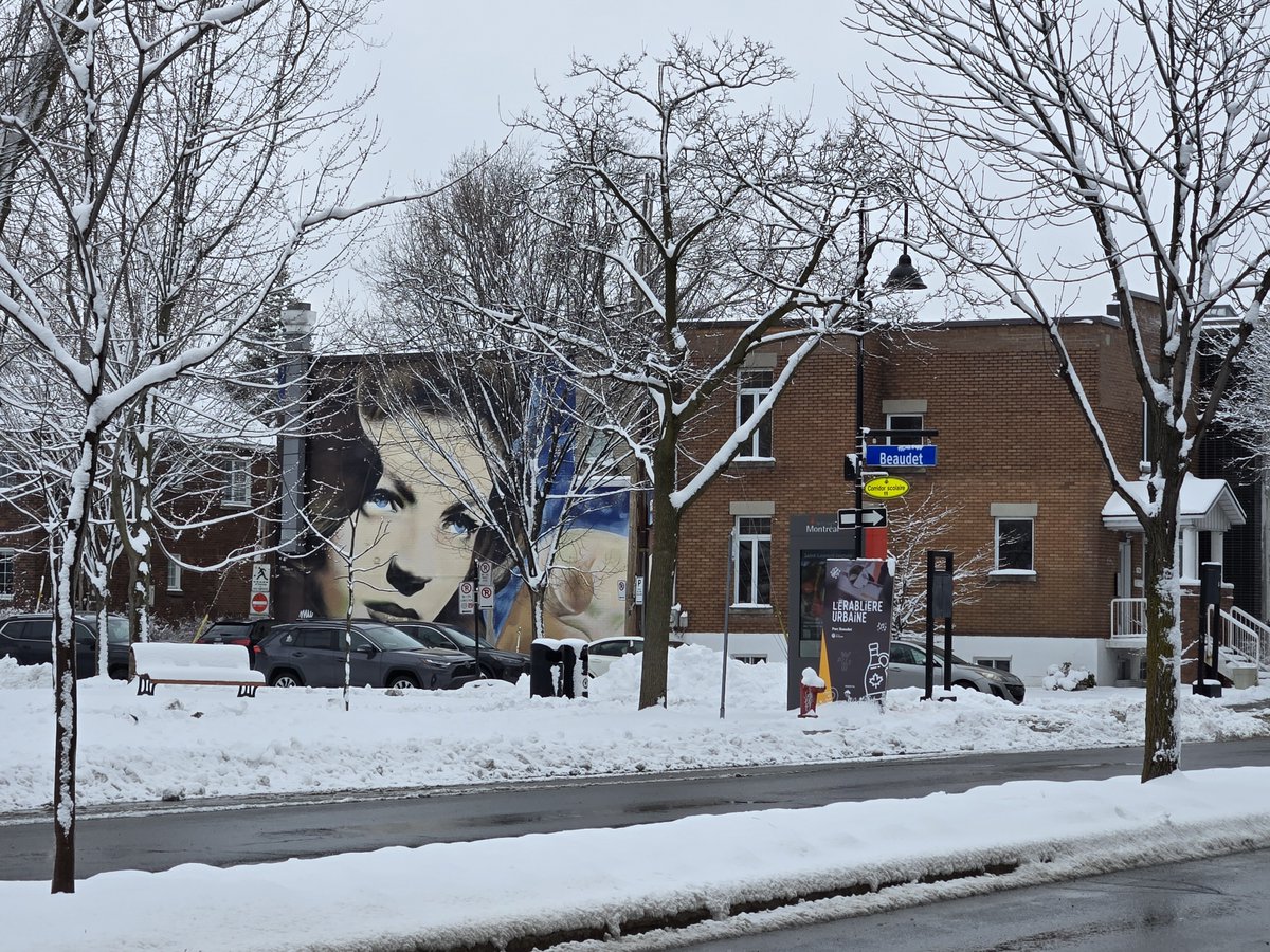 WalkMontreal tweet media