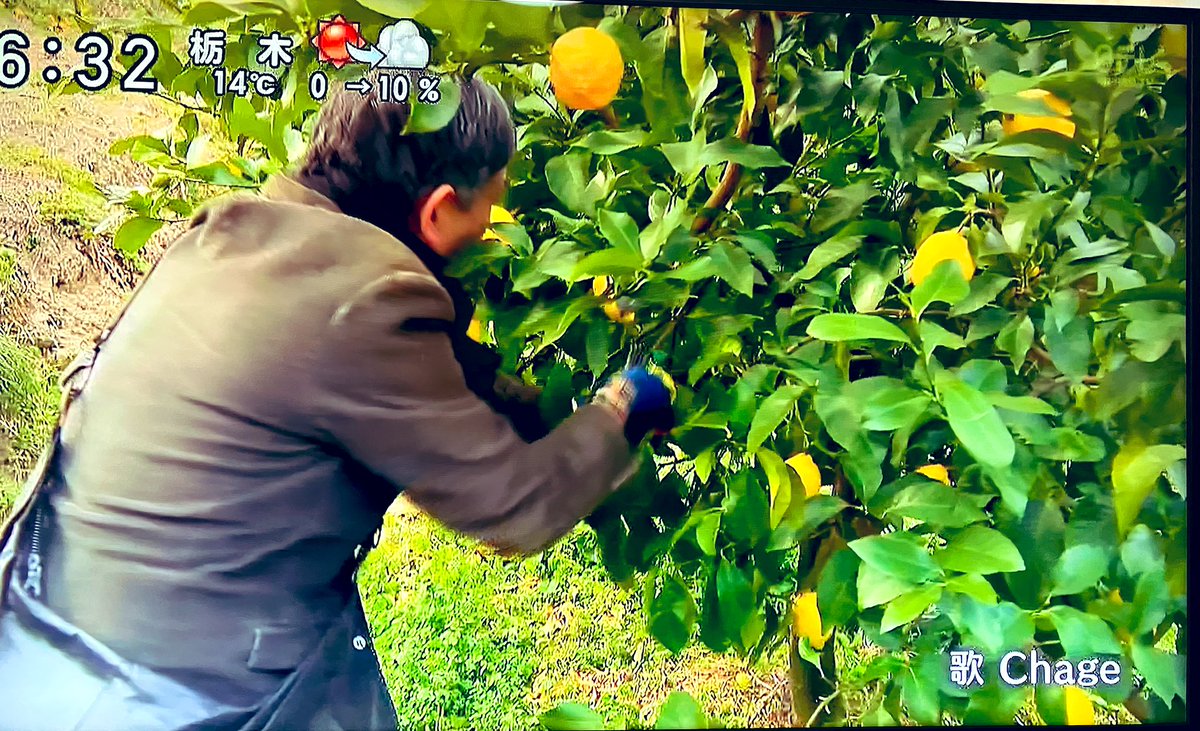 Pinksapphire44's tweet photo. 遠くへ行きたい
香川県　父母が浜
写真家Chebiさんの写真の後にオープニングChageさん❣️
スタッフさんの遊び心⁉️（笑）

#遠くへ行きたい
#Chage さん
#Chebi さん
#梶原善 さん https://t.co/eCsm0mdXaB