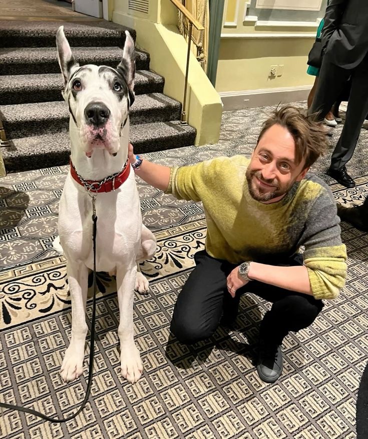 no context kieran culkin tweet media