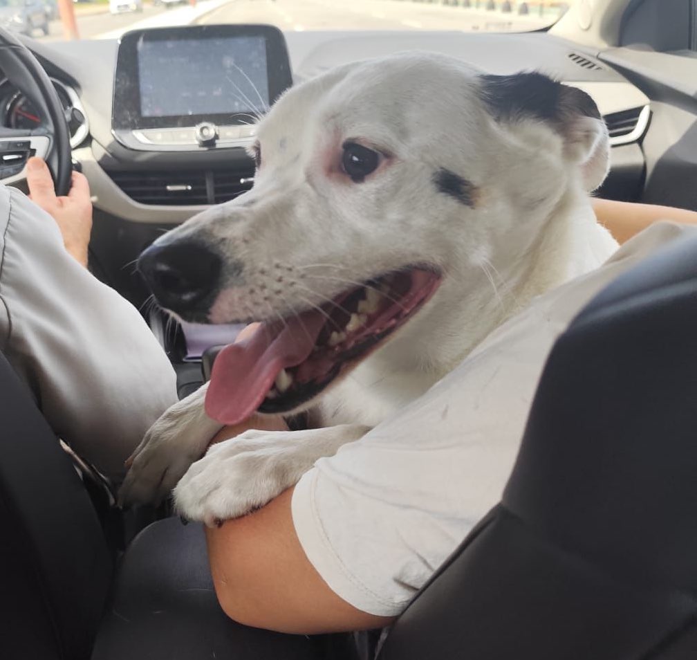 Apareció!!!! Millones de gracias a todos ❤️