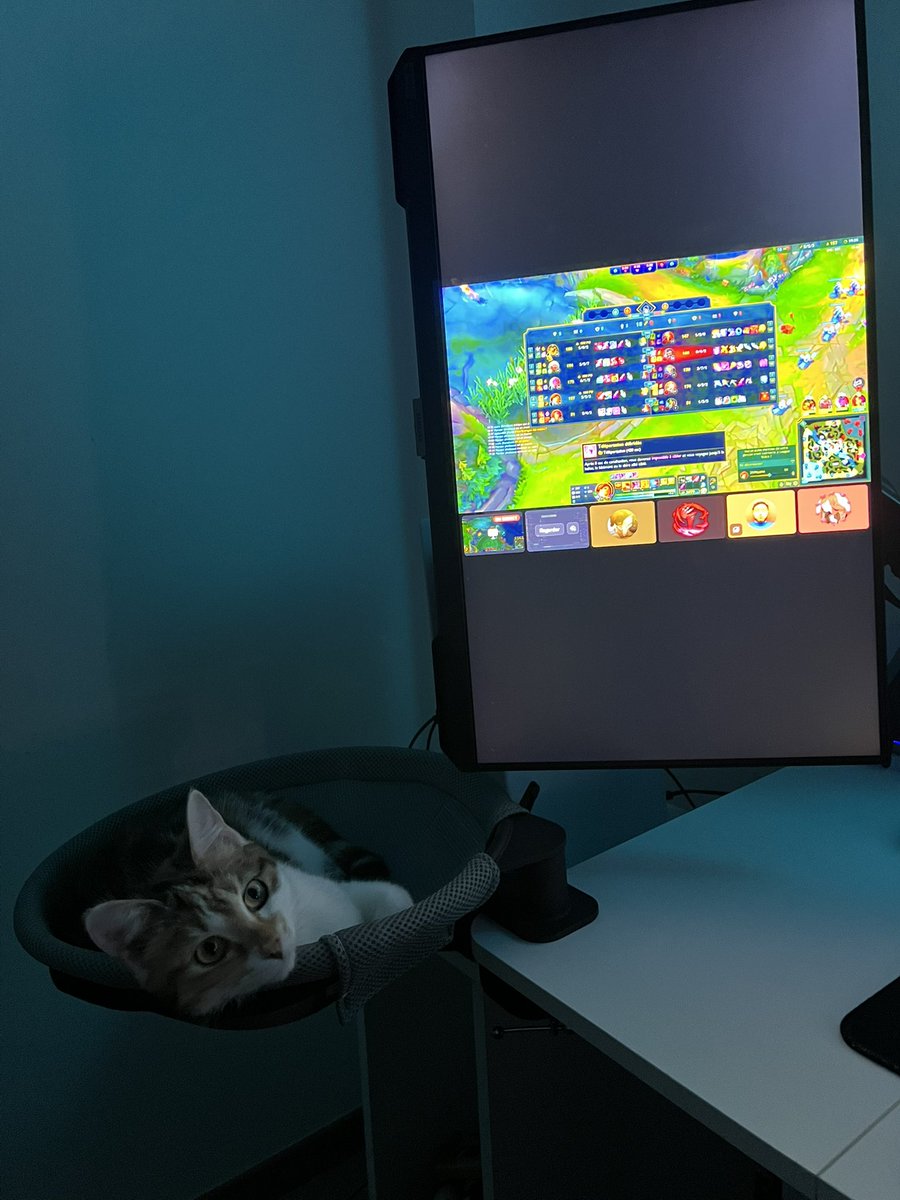 je crois c’est le meilleur investissement