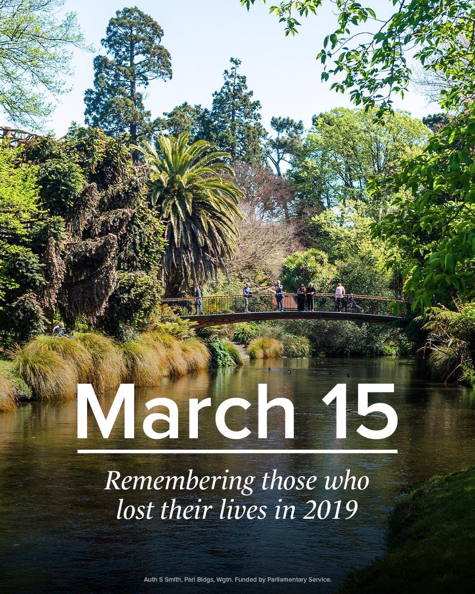 Judith Collins tweet media