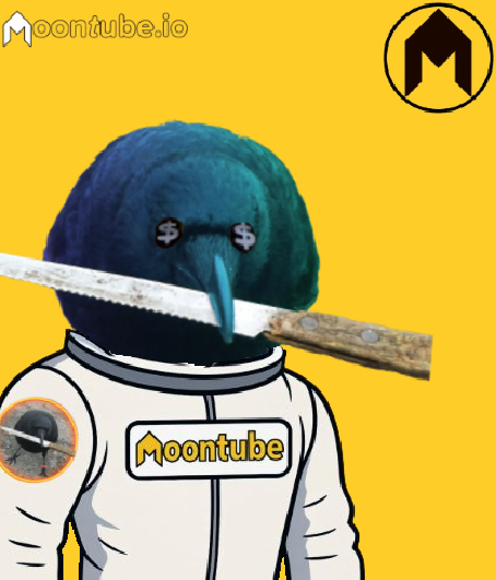 𝓬𝓻𝓸𝔀 tweet media