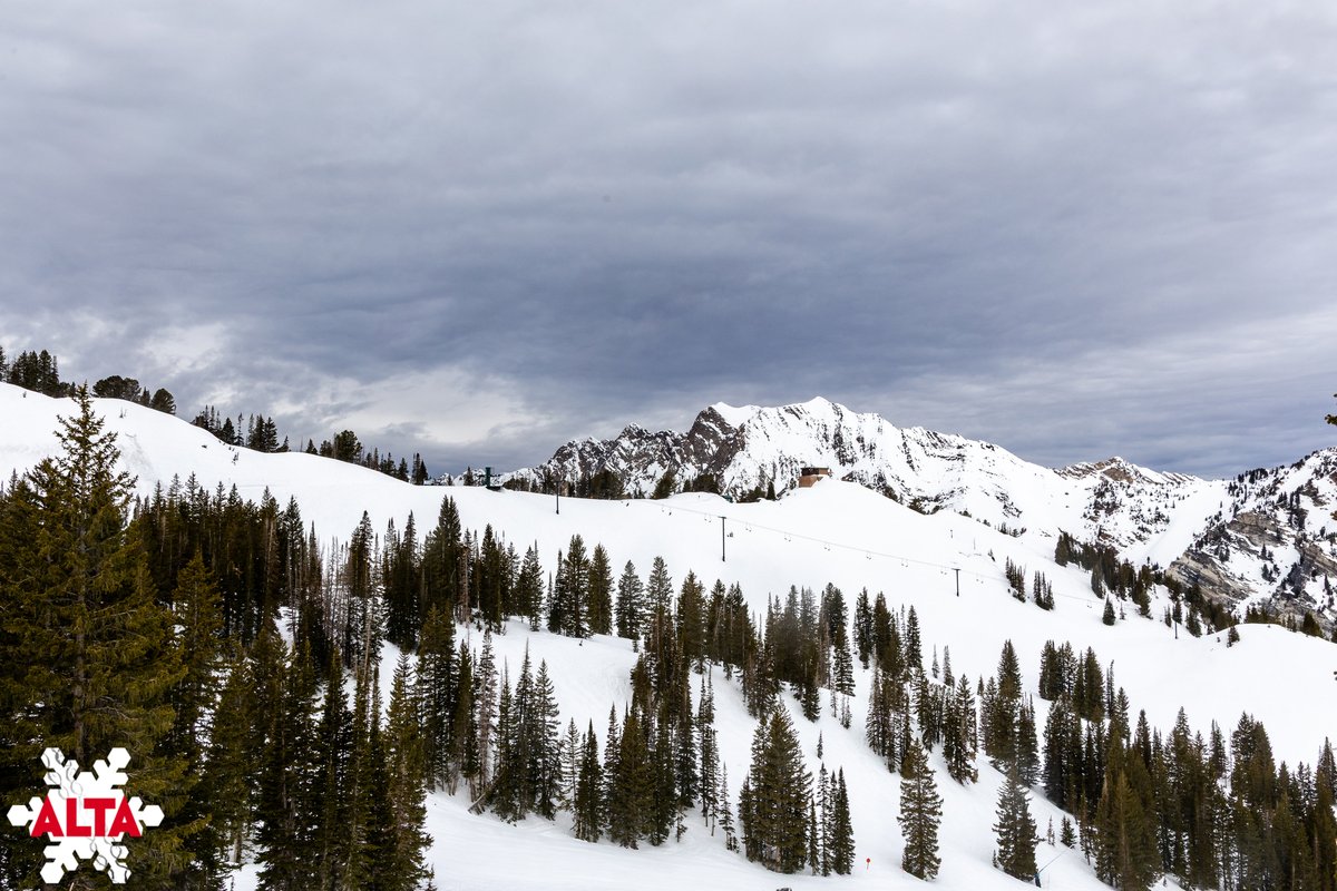 Alta Ski Area tweet media