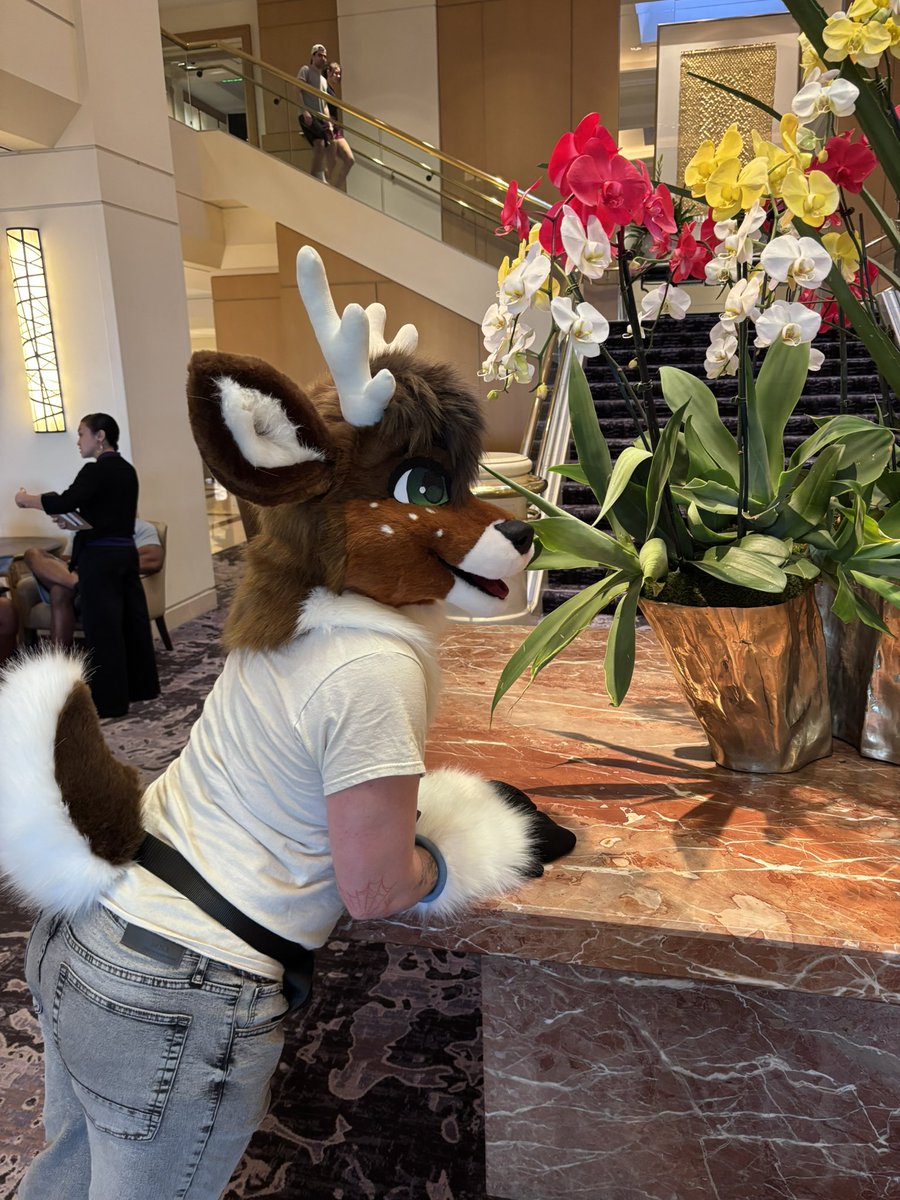 Yappy Ki Yay! tweet media