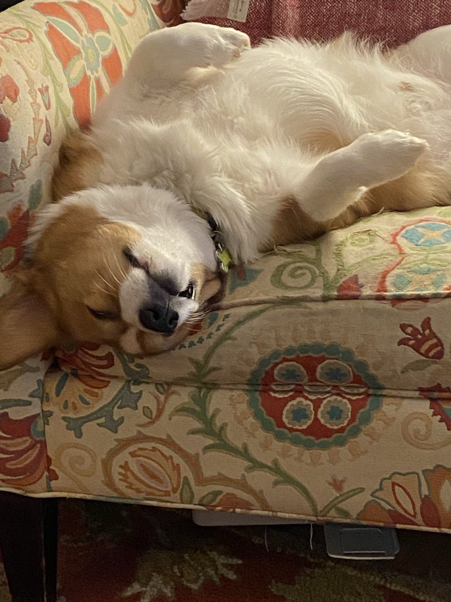 Falldown.Stream tweet media