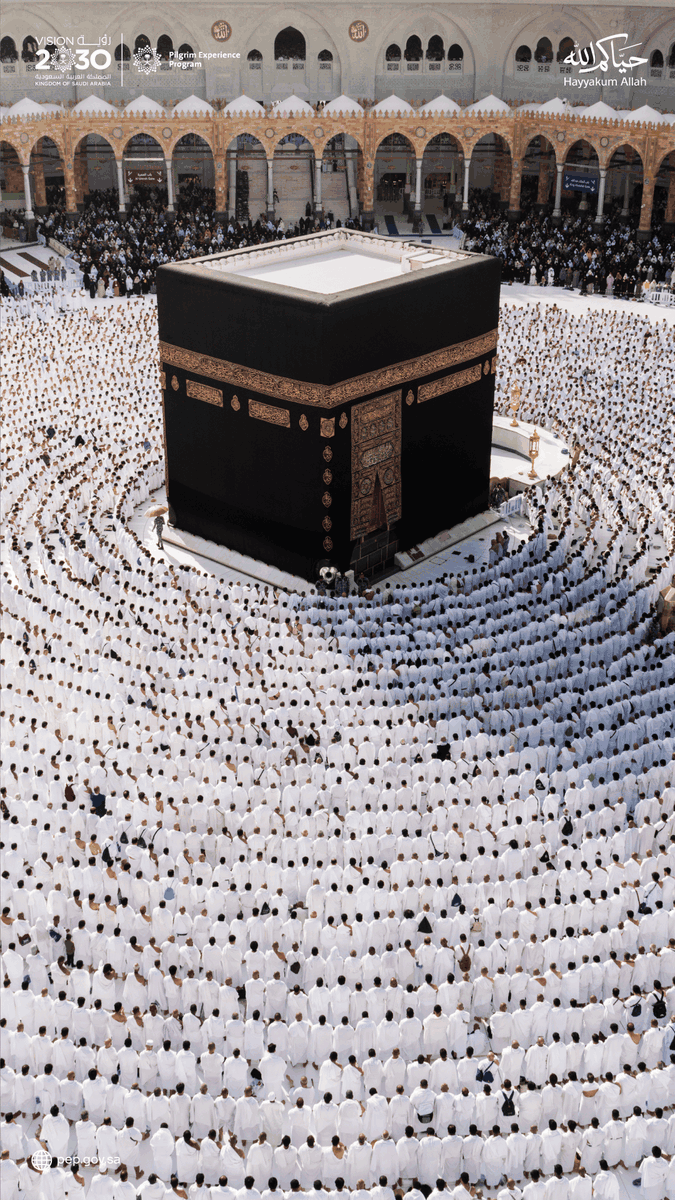 Pilgrims Experience Program tweet media