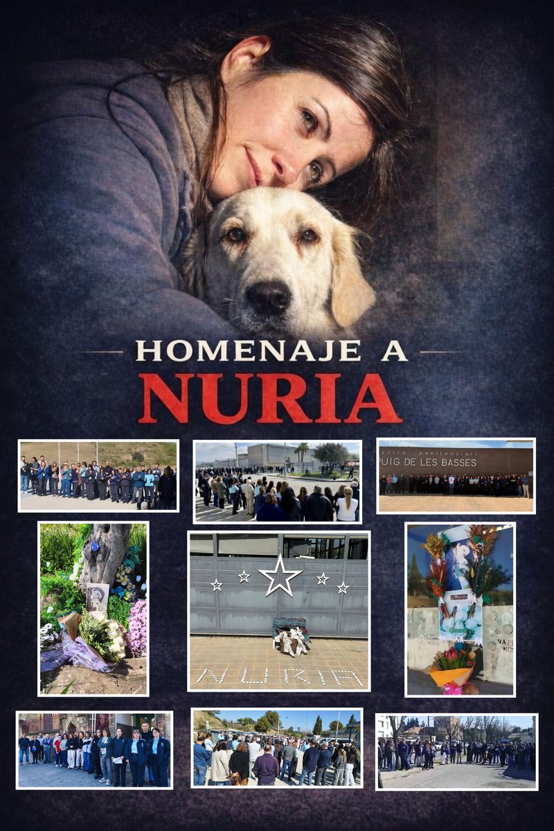 ๐ผ๐๐๐๐ ๐ฑ๐๐๐๐ ๐ฟ๐๐๐๐๐๐ tweet media