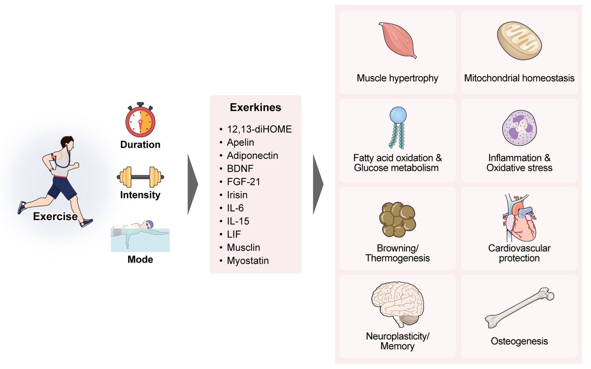 Christoph Burch tweet media
