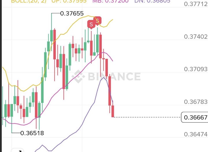凌晨4点多醒了，然后就看了下手机，看到了主力在高位出货，价格不跌但是痕迹明显，通过监控的指标直接看出来，果断加入进去，在指标外近期对于各个操盘的背后风格也在做统计和归类，然后不断的去输入到自己系统中，所有的走势特征以及流动性高的区域下跌前后的操盘特征，给用户心理的作用，然后主力高