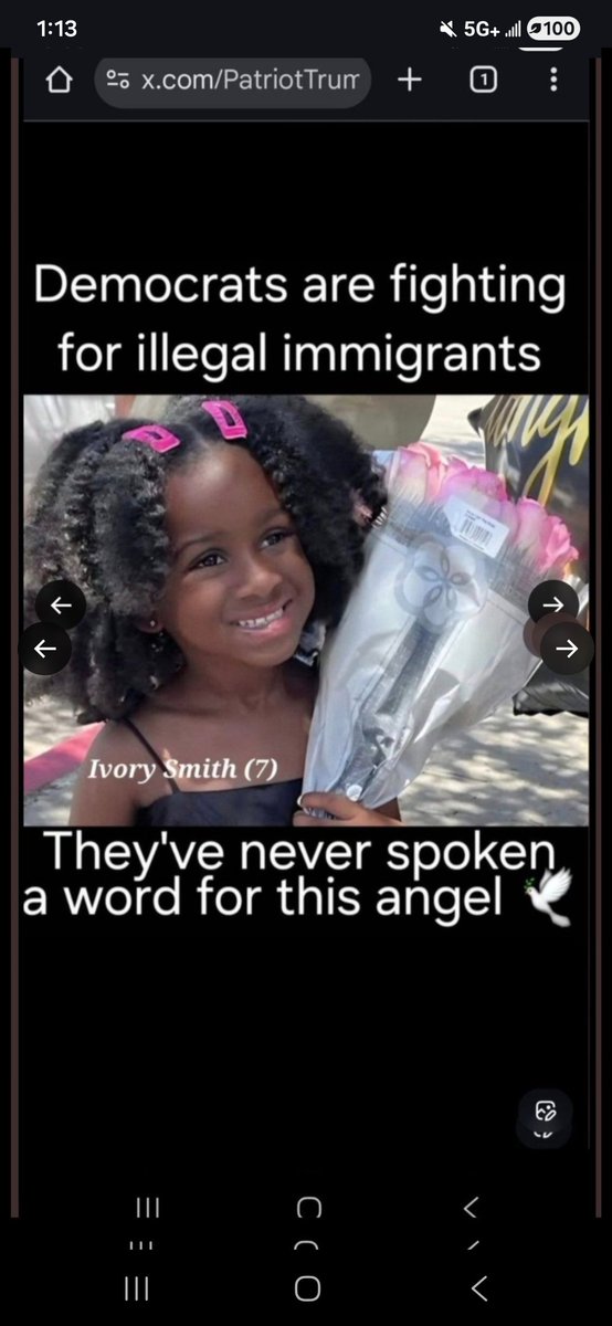 TRUMPSPATRIOT tweet media