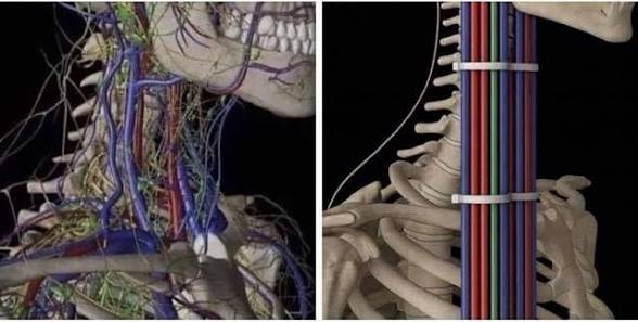 Compostela FC tweet media