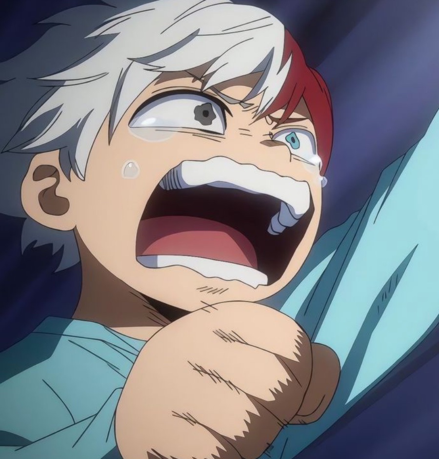 Shoto Todoroki's PR Manager❄️🔥🐈🍜 tweet media