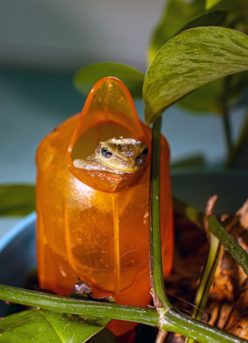 Branch Floridian tweet media