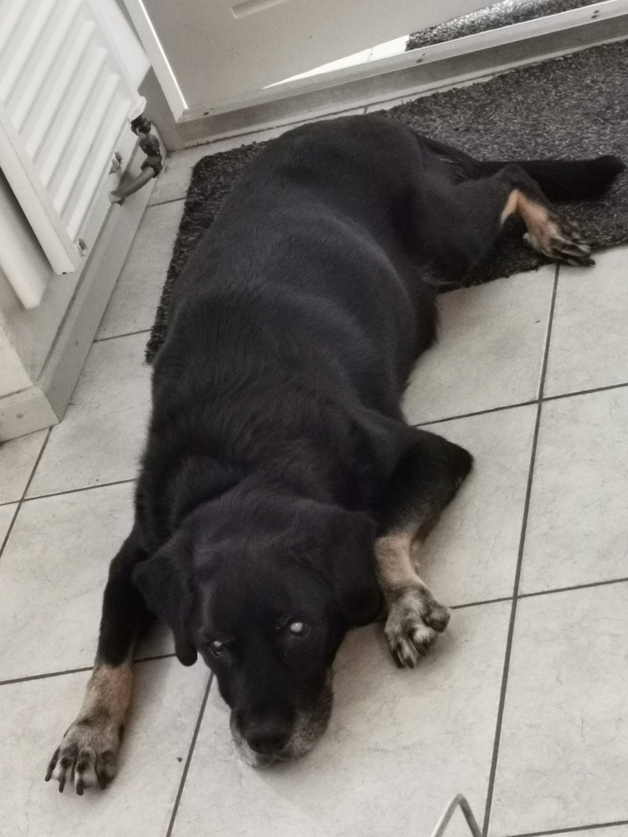 DyslecticAttack tweet media