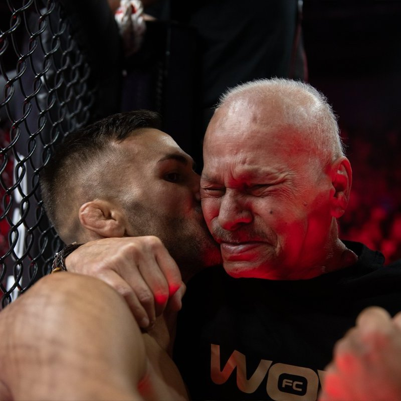 Pelunaton tweet media