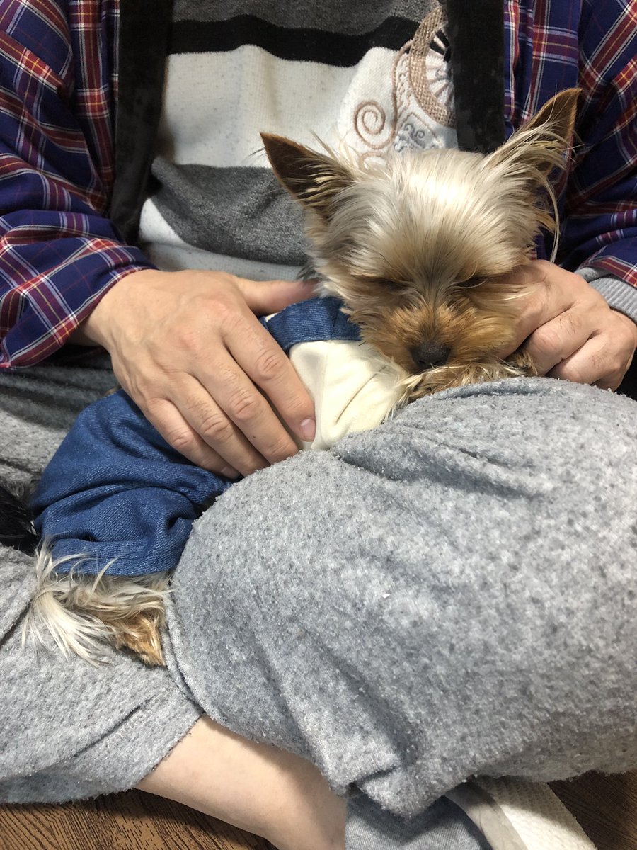 村野ちづ ちよだ文学賞最終候補作書籍化 読 了 ポ ス ト 学校エッセイ集も発売中 元教師 tweet media