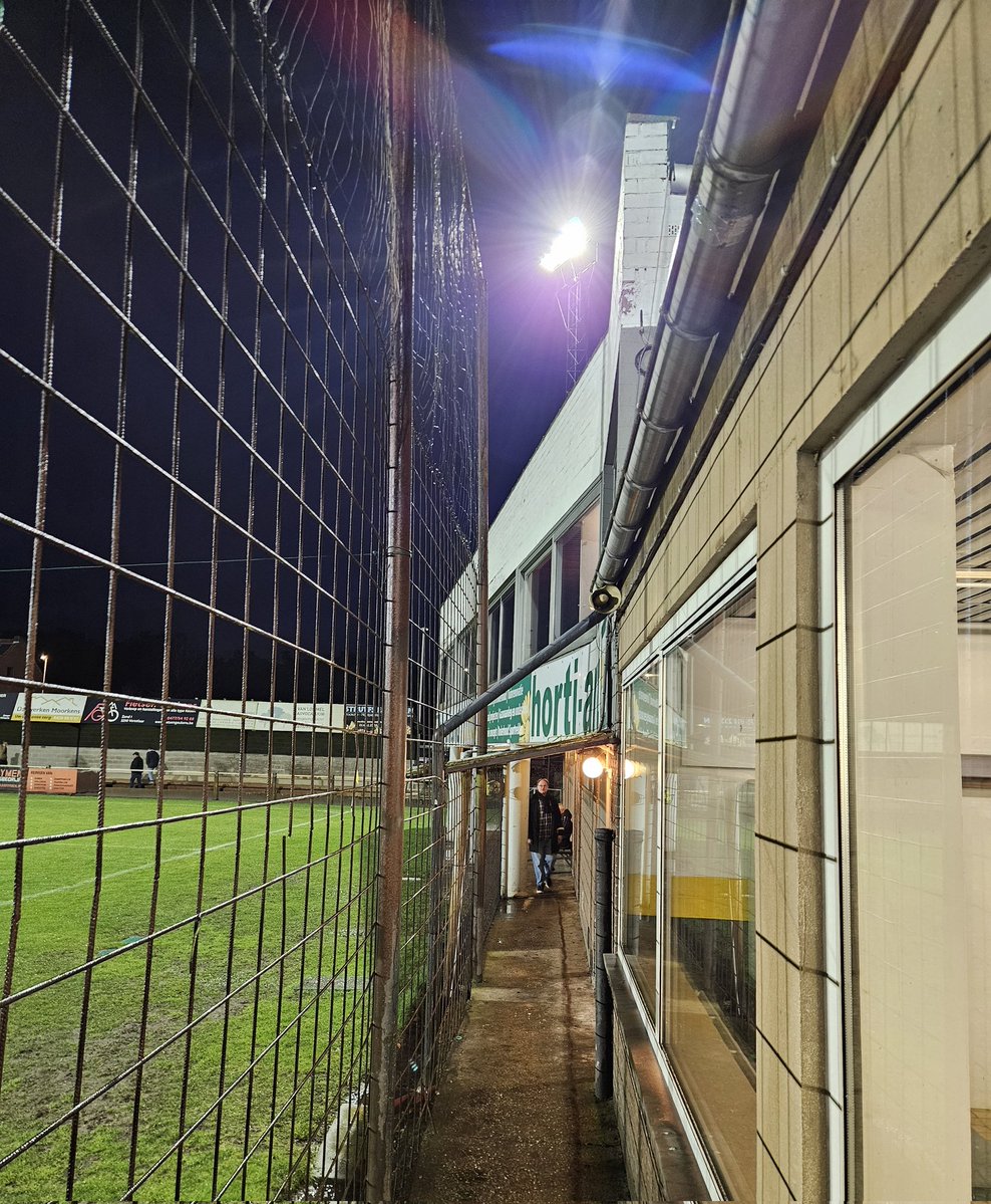 Dutch Non-League Dog tweet media