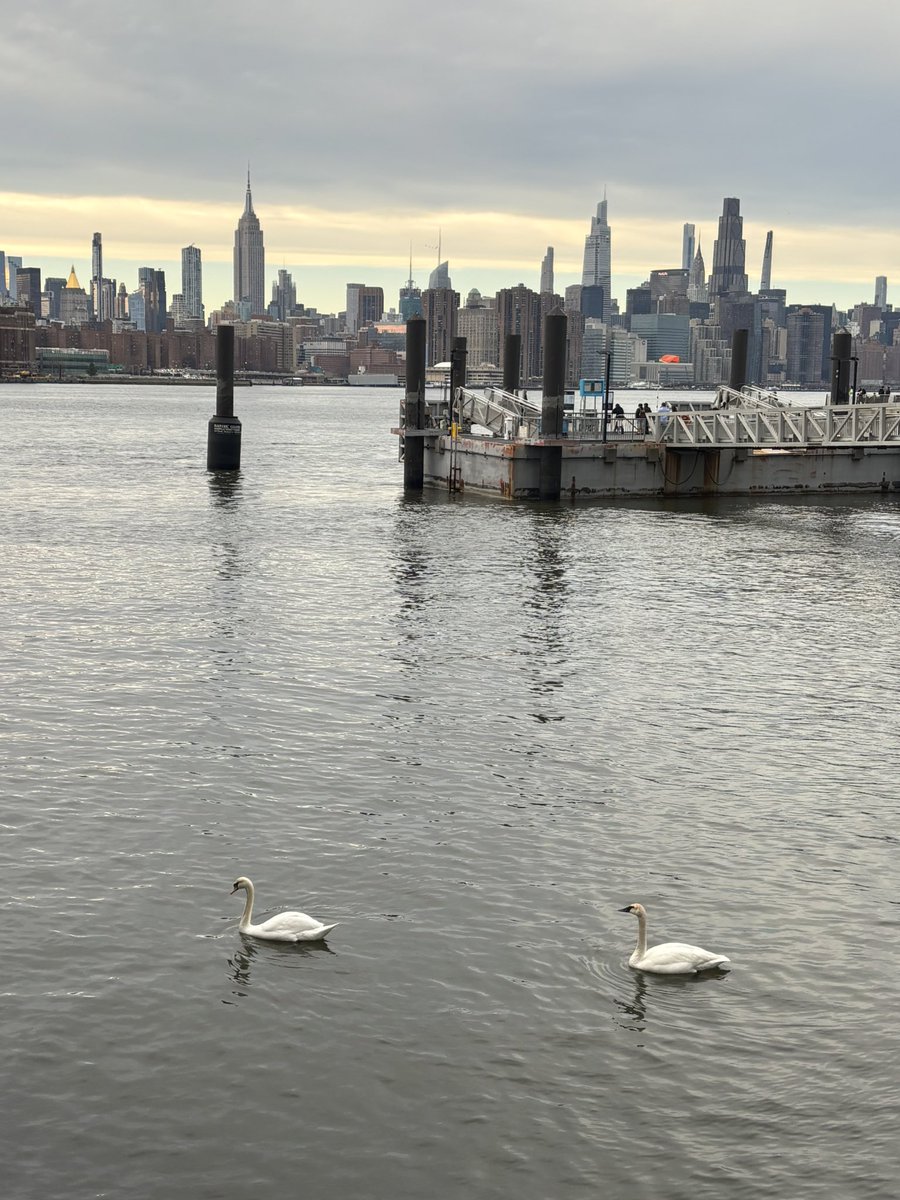 Paul Ferris 🇺🇸 tweet media