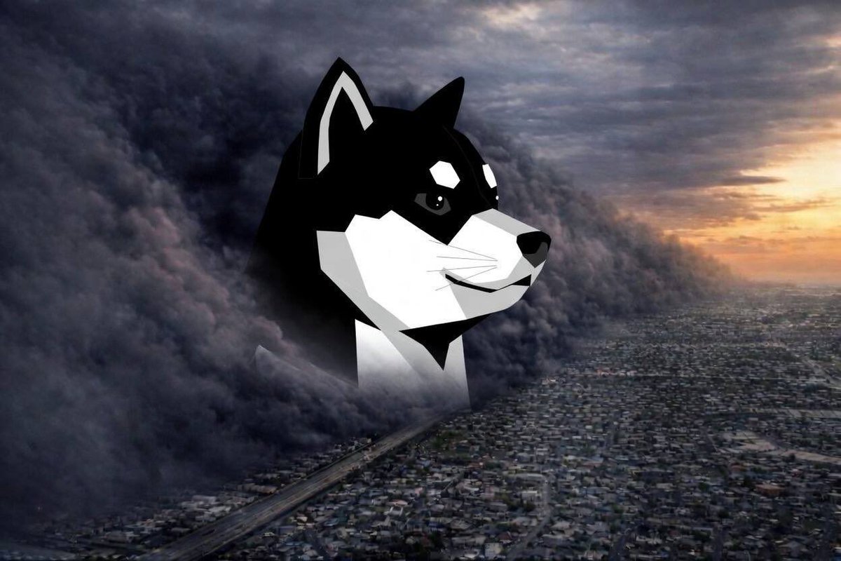 KURO INU tweet media