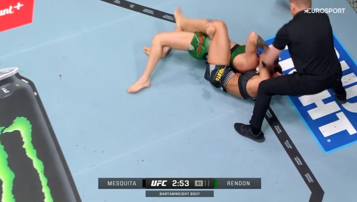 Pelunaton tweet media