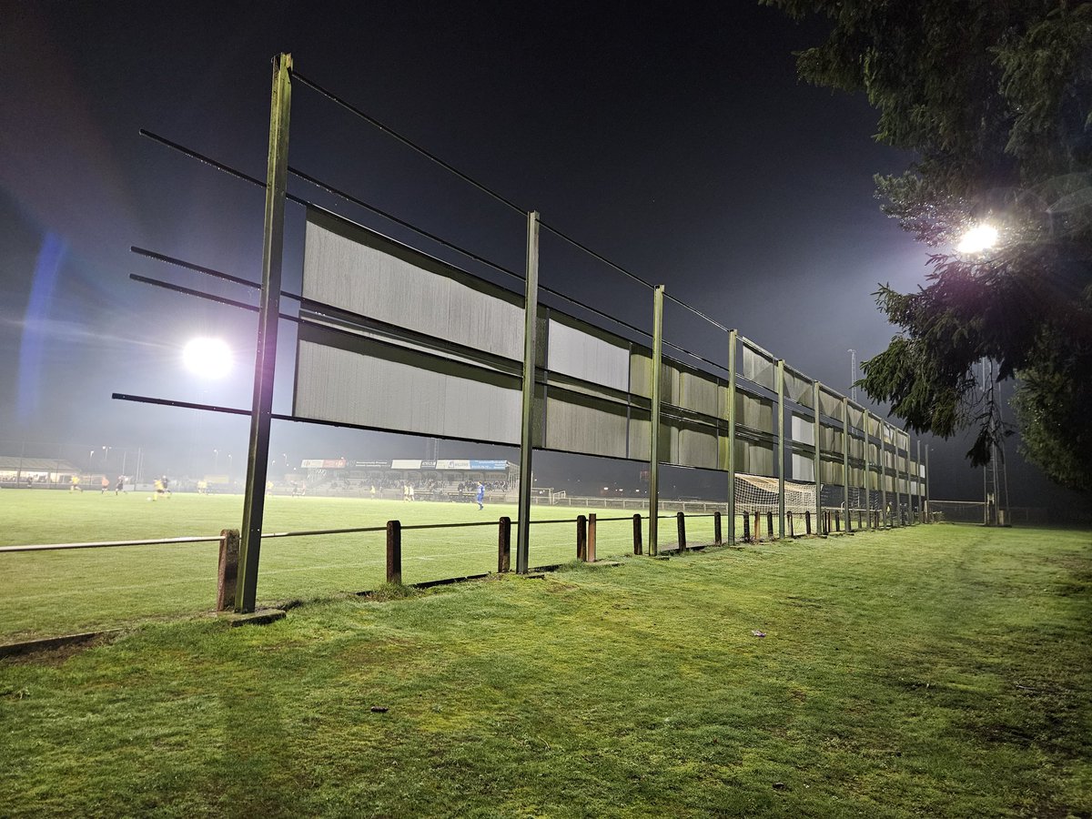 Dutch Non-League Dog tweet media