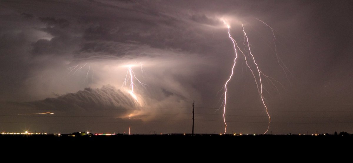 Amelia Urquhart 🏳️‍⚧️ tweet media