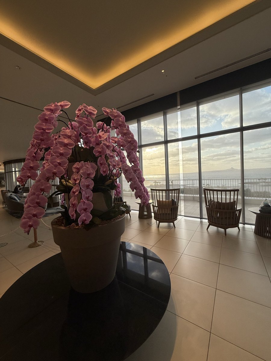 Norihiko katsuta tweet media