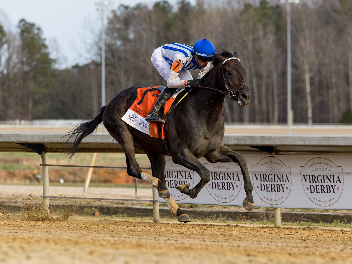 Agentes305 tweet media