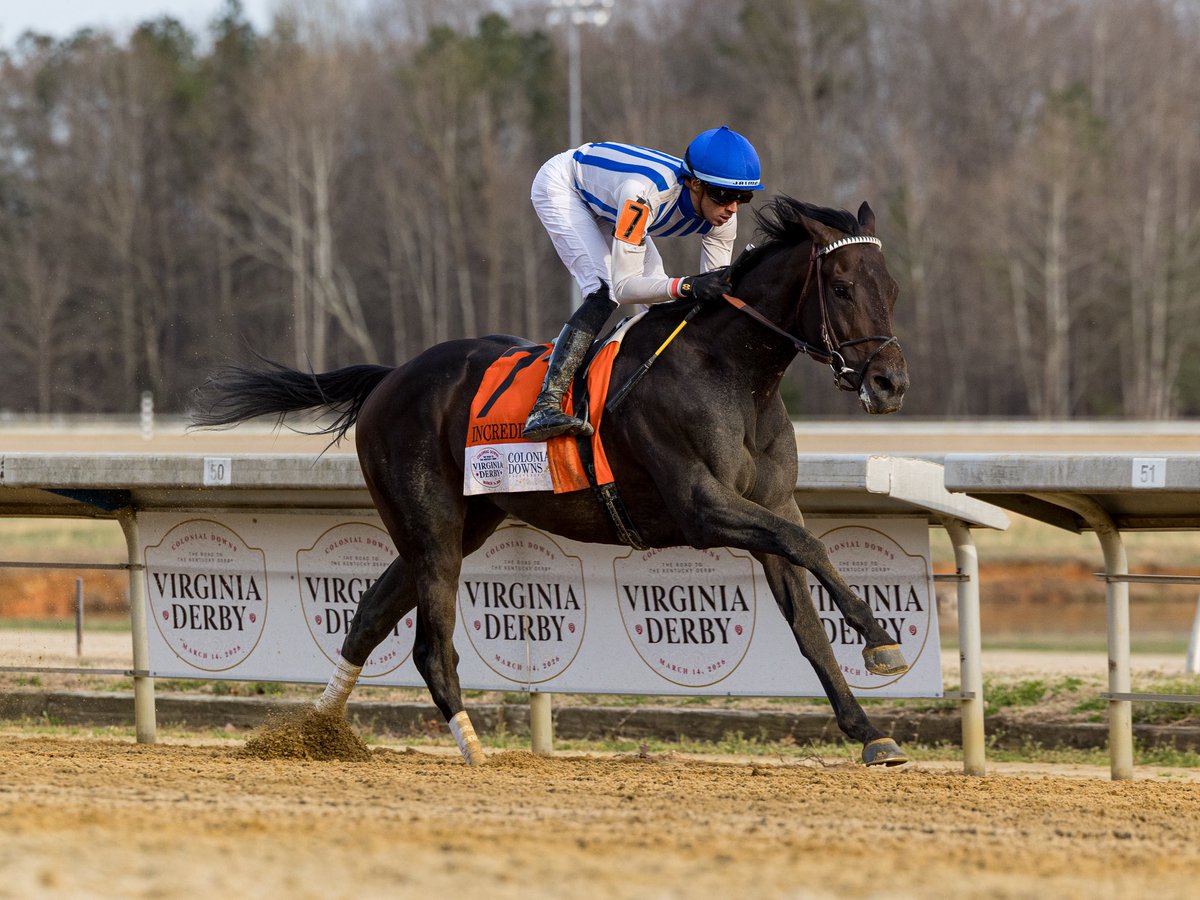 Agentes305 tweet media