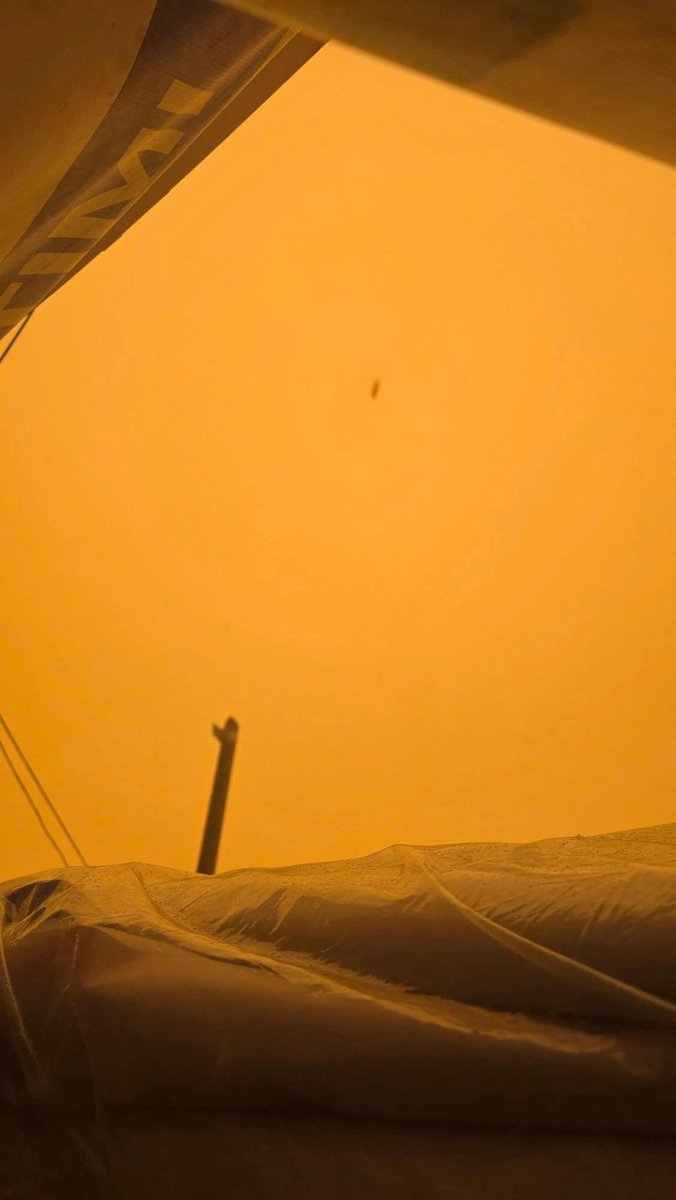 mohanad ahmad🇵🇸🇵🇸 tweet media