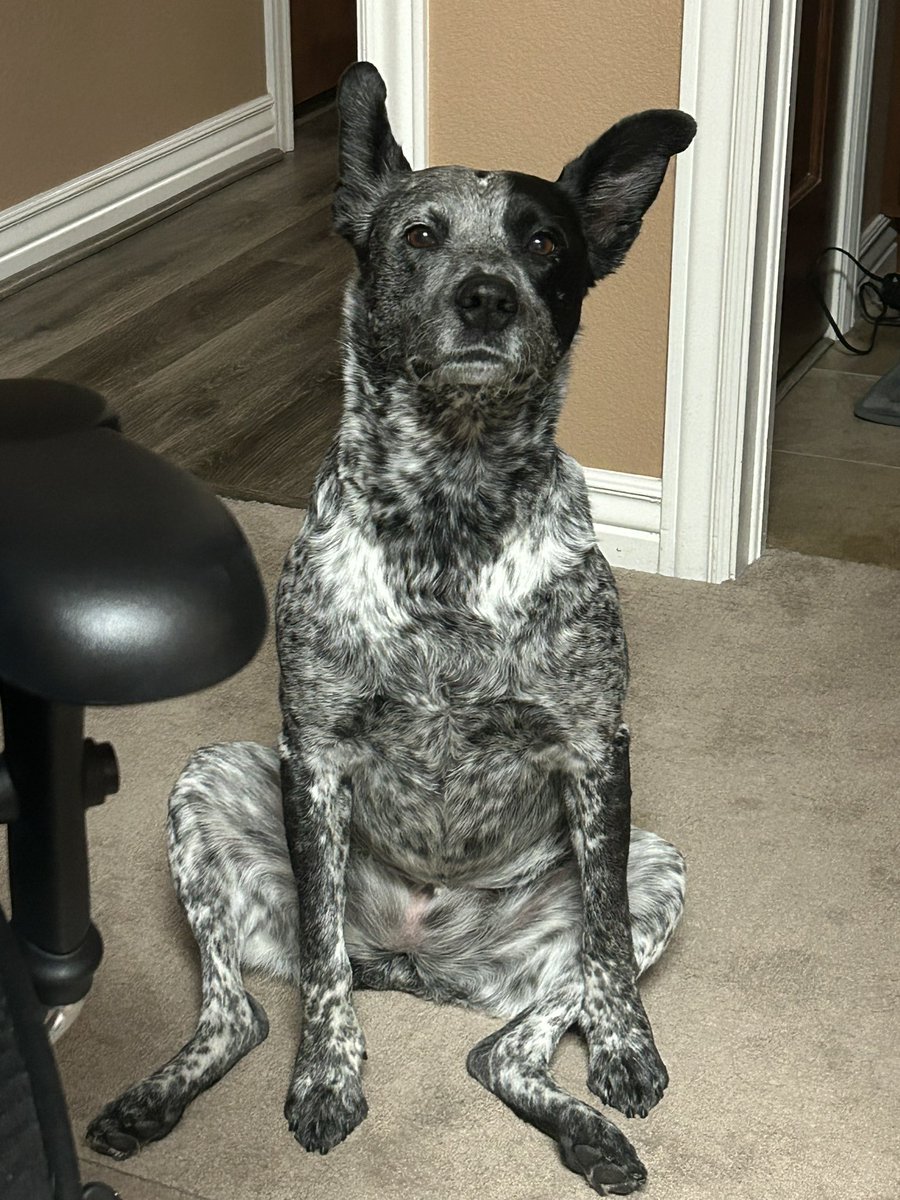 XSET Nina tweet media