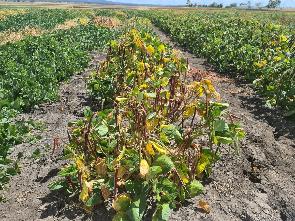 David Jordan tweet media