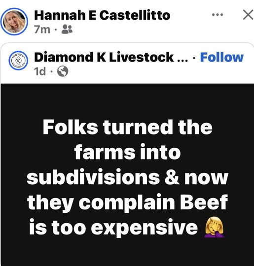 Amazin'Grazin' tweet media