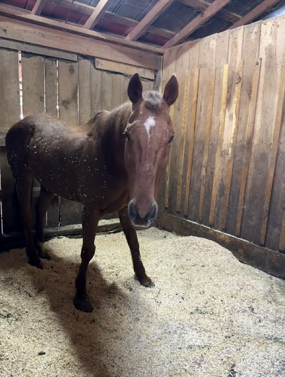 R.A.C.E. Fund, Inc. tweet media