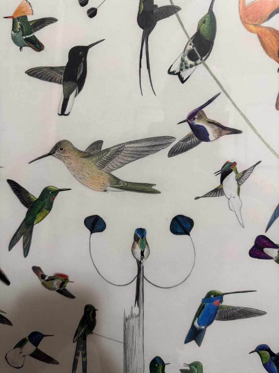 Andrew Guttenberg tweet media