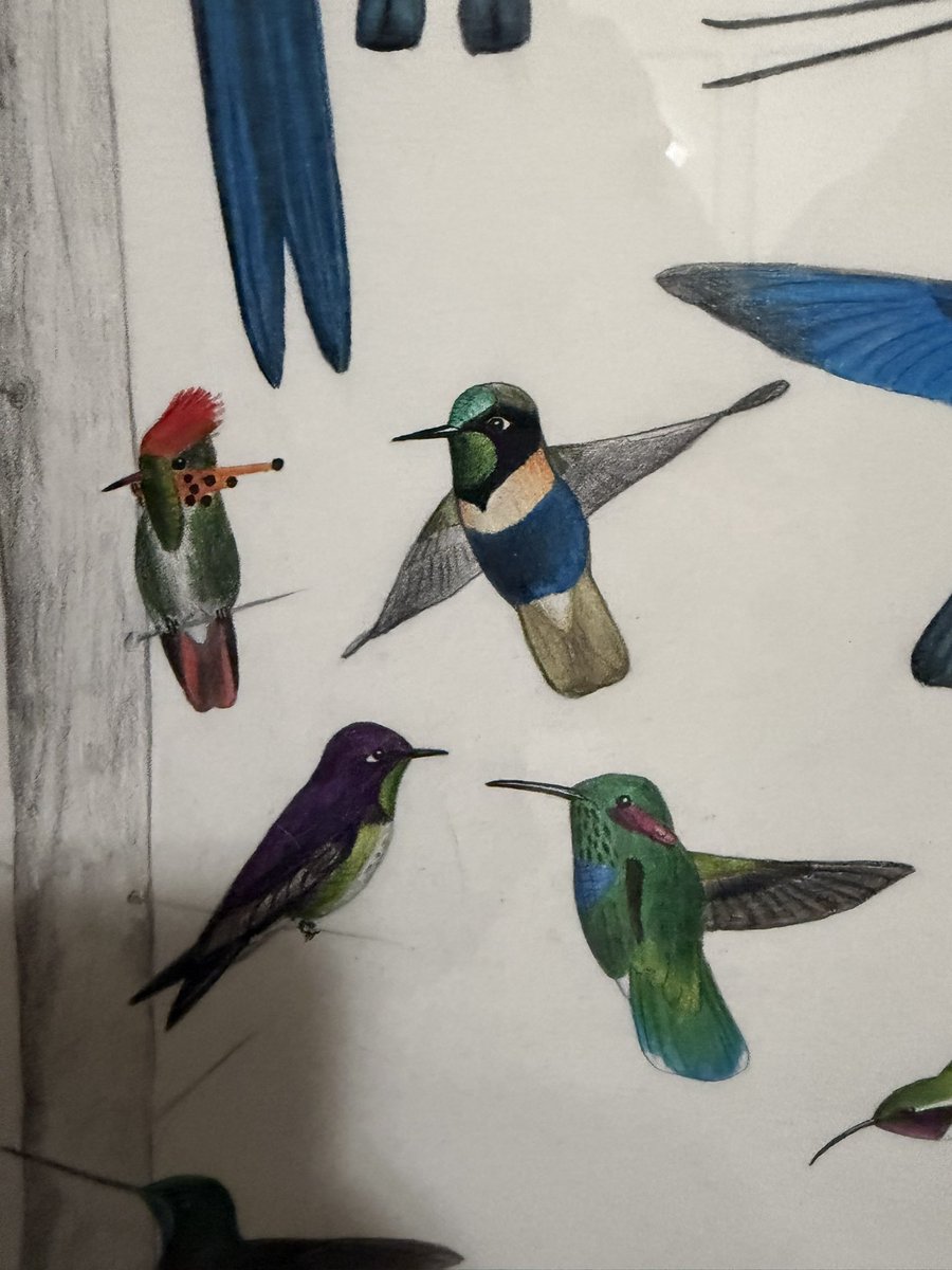 Andrew Guttenberg tweet media